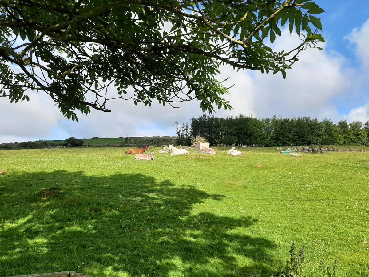 Abhainn Ri Farmhouse Blessington Exterior foto
