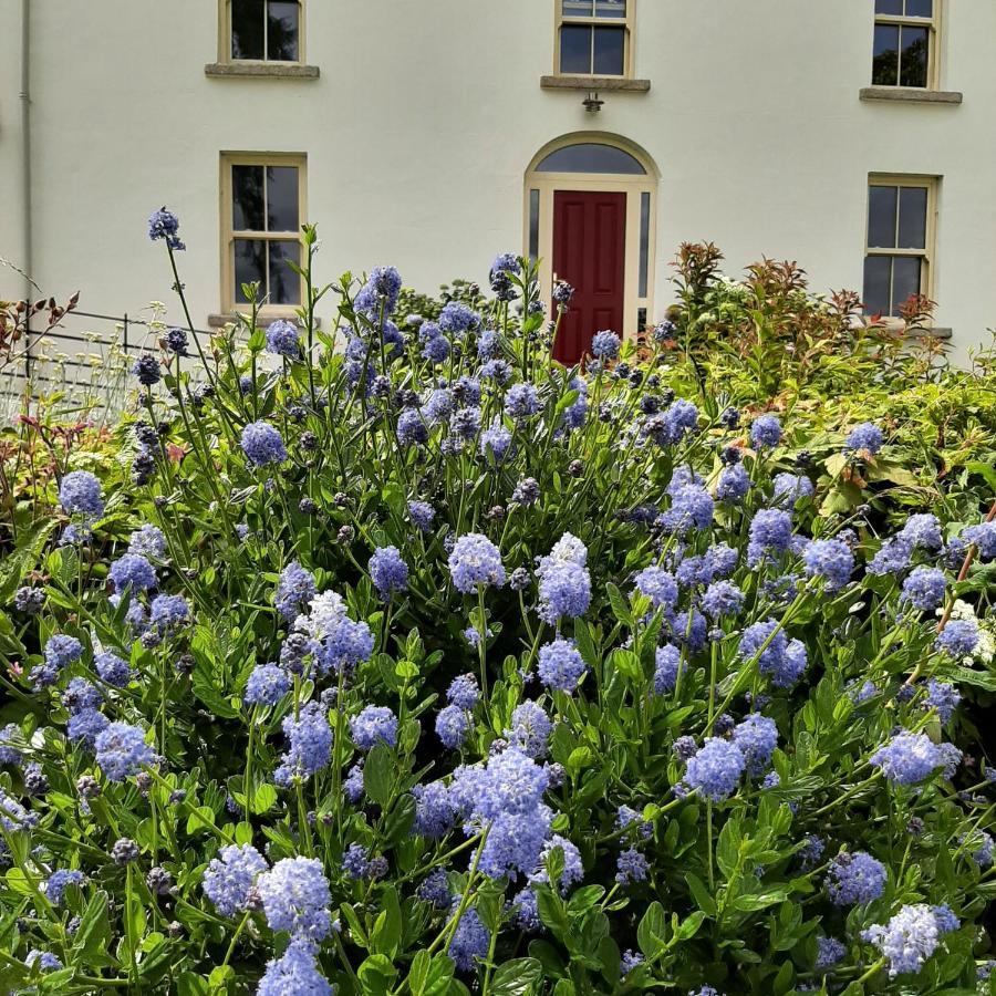 Abhainn Ri Farmhouse Blessington Exterior foto