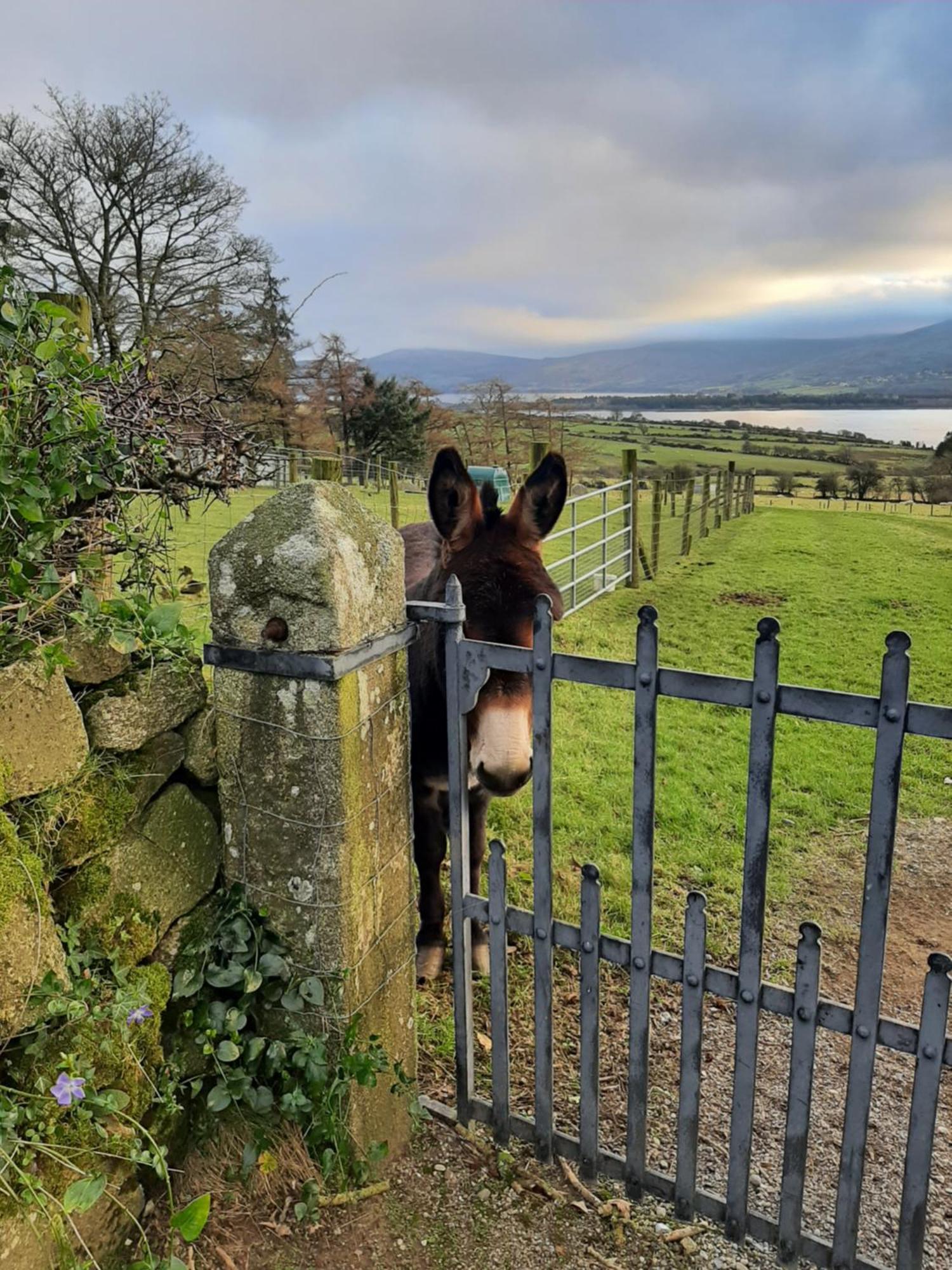 Abhainn Ri Farmhouse Blessington Exterior foto