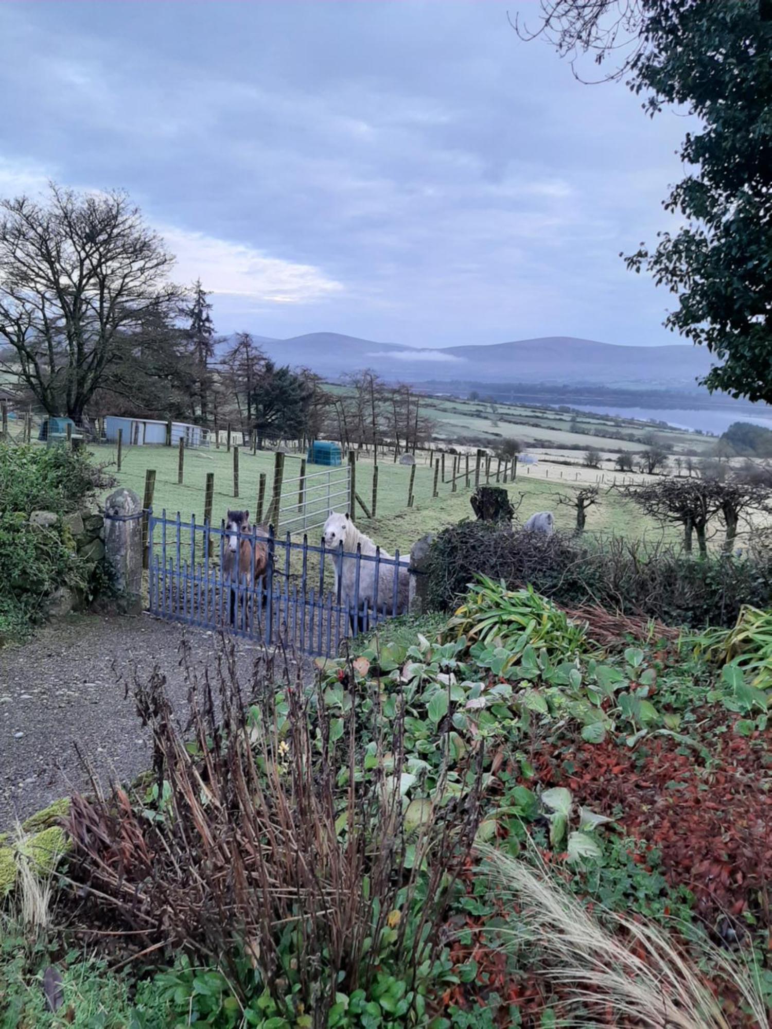 Abhainn Ri Farmhouse Blessington Exterior foto