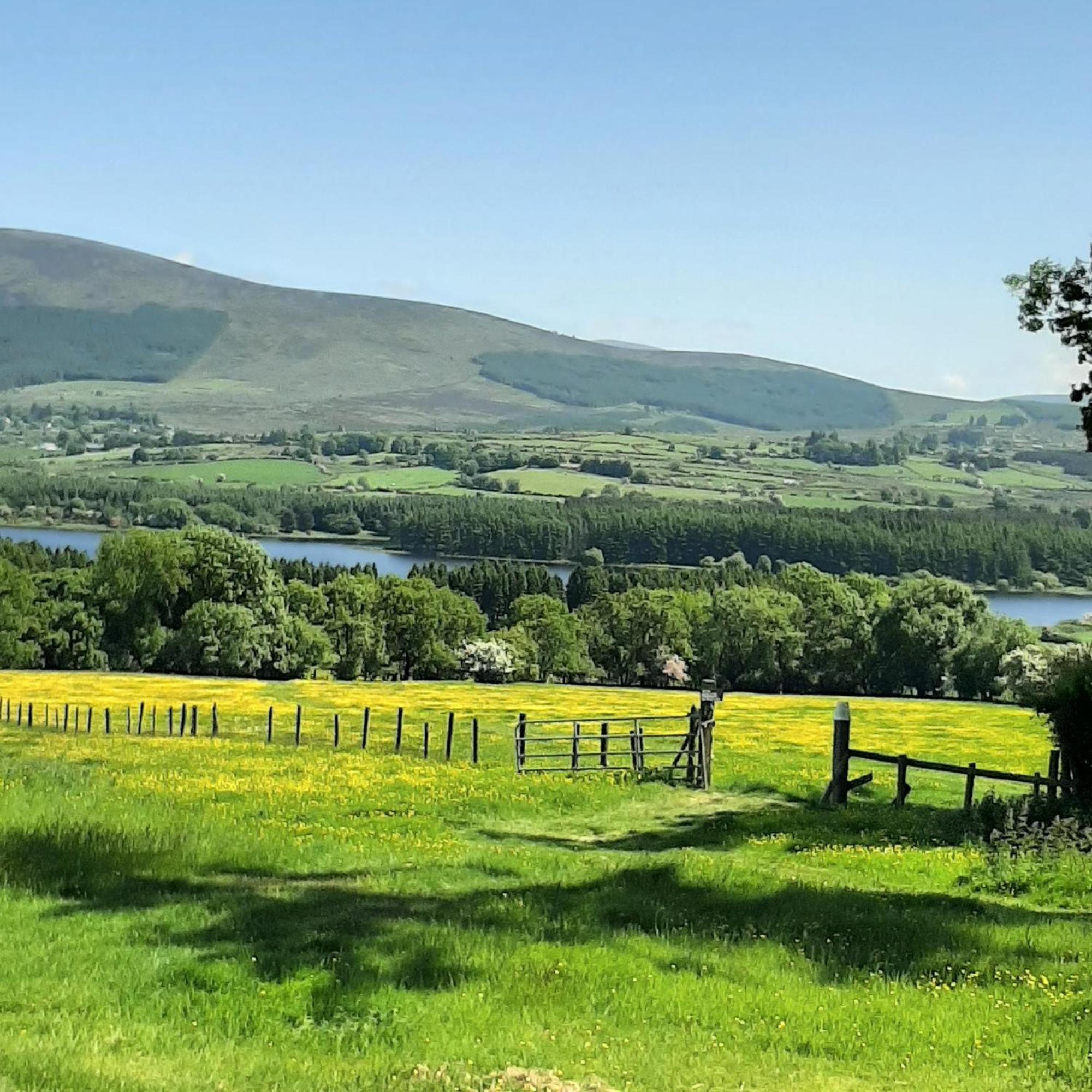 Abhainn Ri Farmhouse Blessington Exterior foto