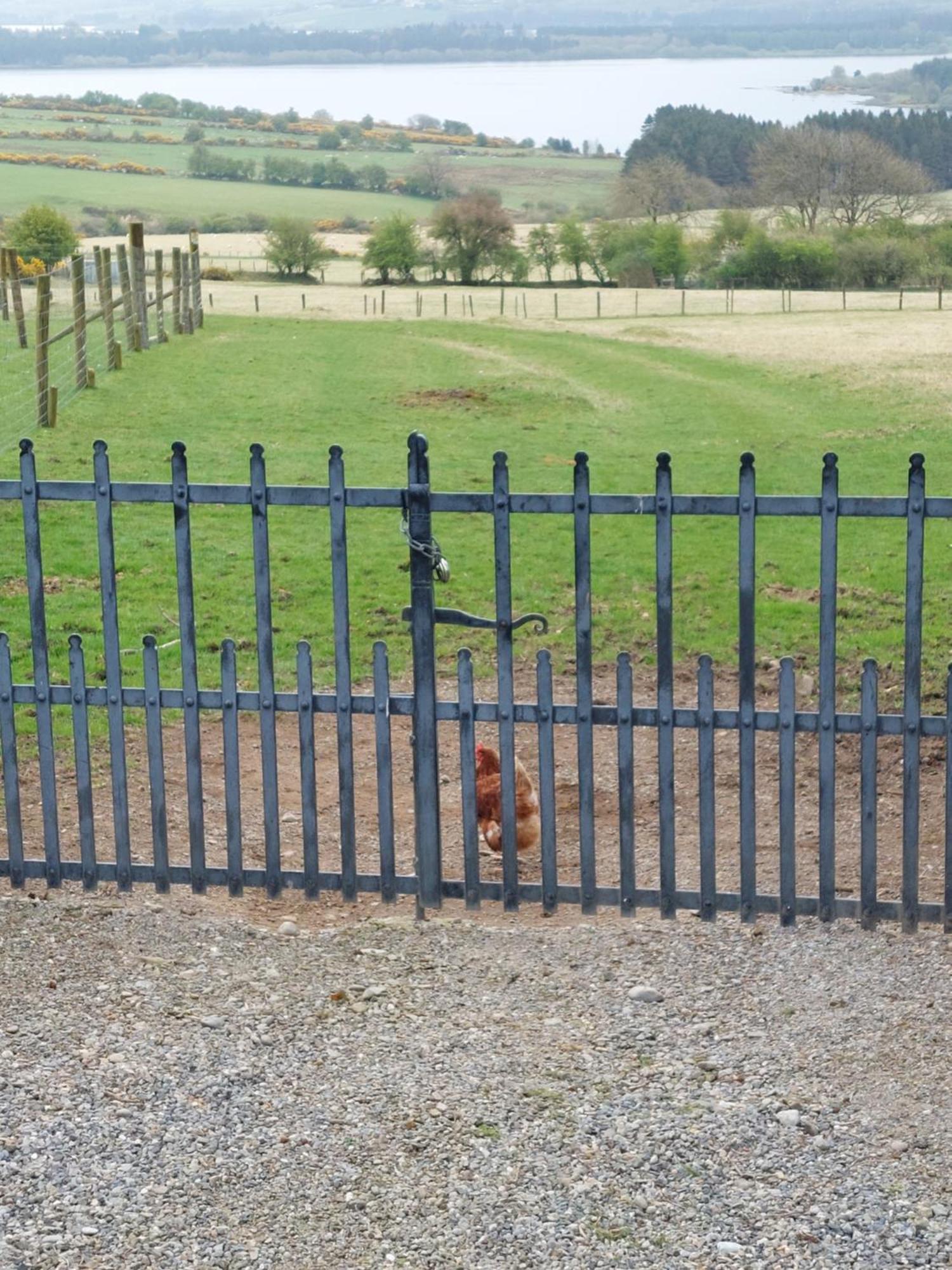 Abhainn Ri Farmhouse Blessington Exterior foto