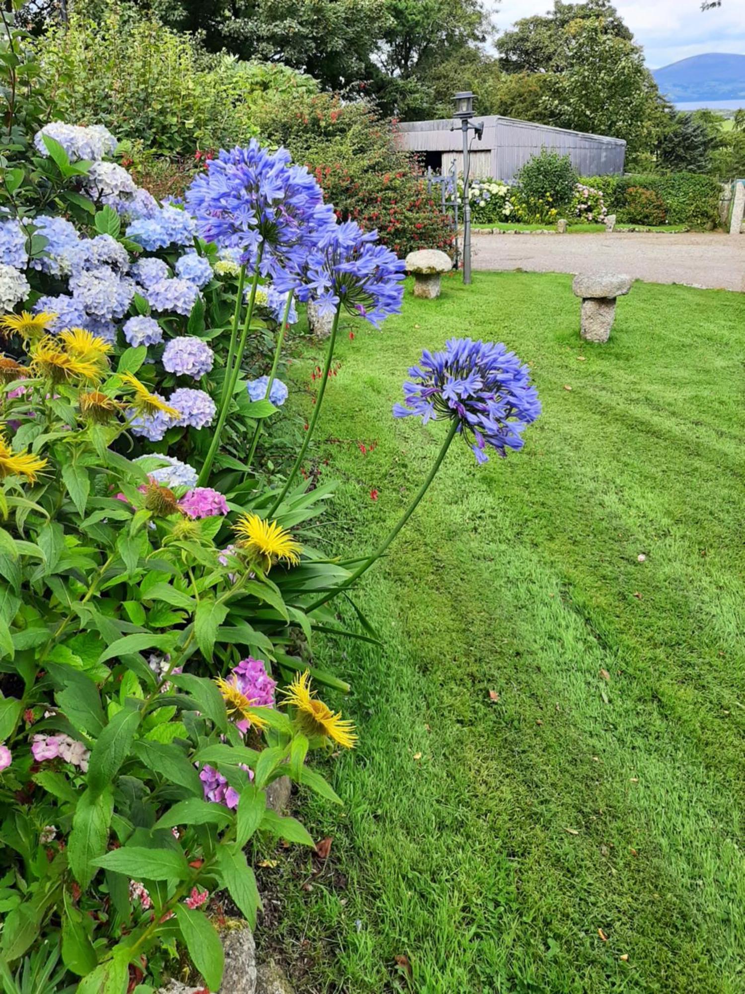 Abhainn Ri Farmhouse Blessington Exterior foto
