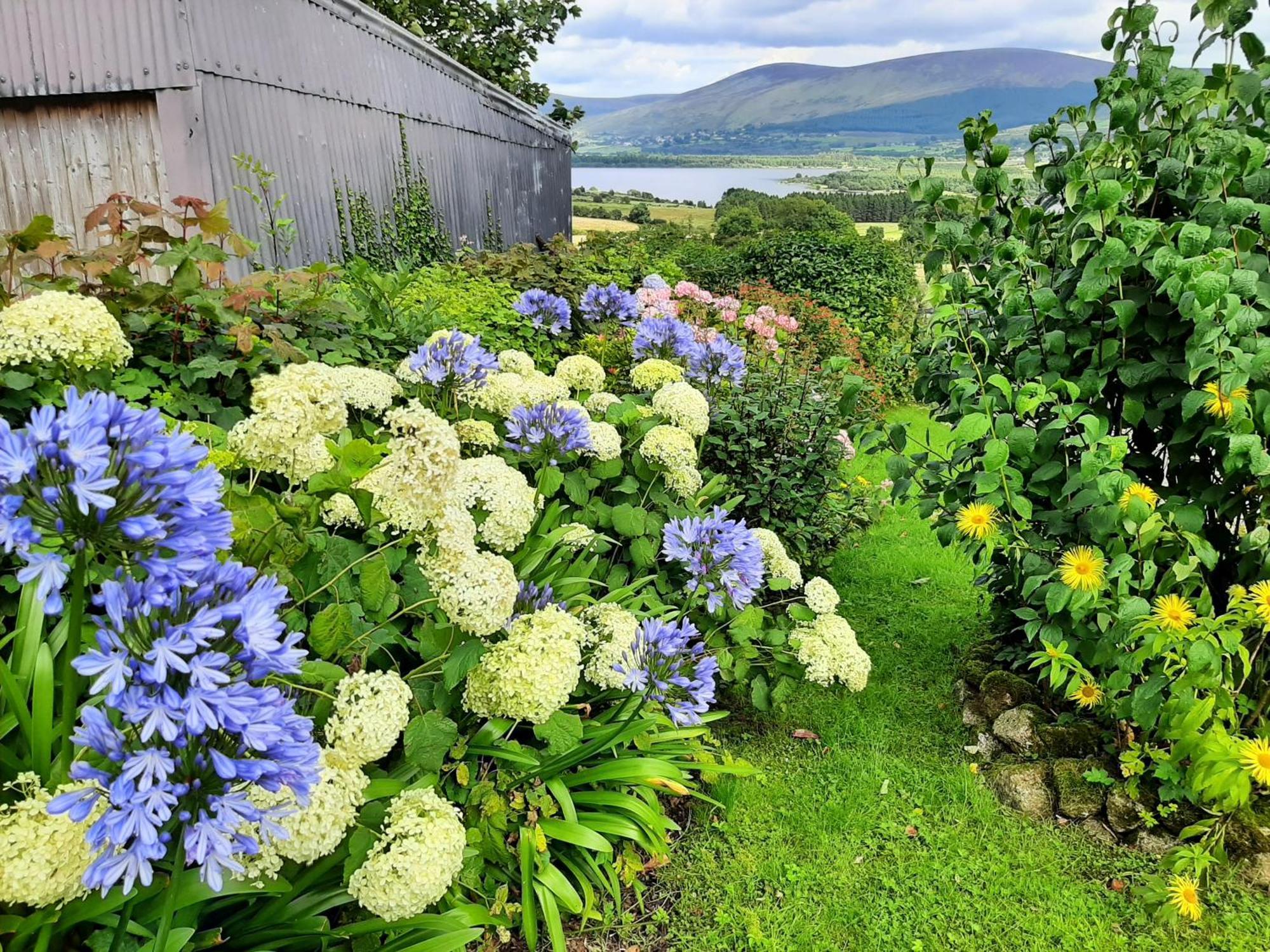 Abhainn Ri Farmhouse Blessington Exterior foto